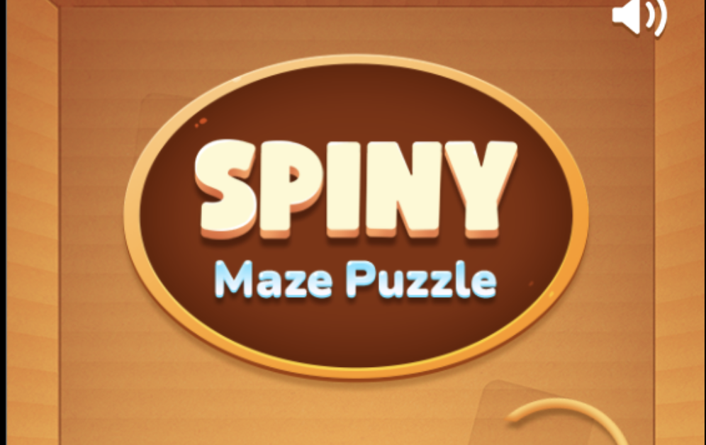 Spiny Maze Puzzle